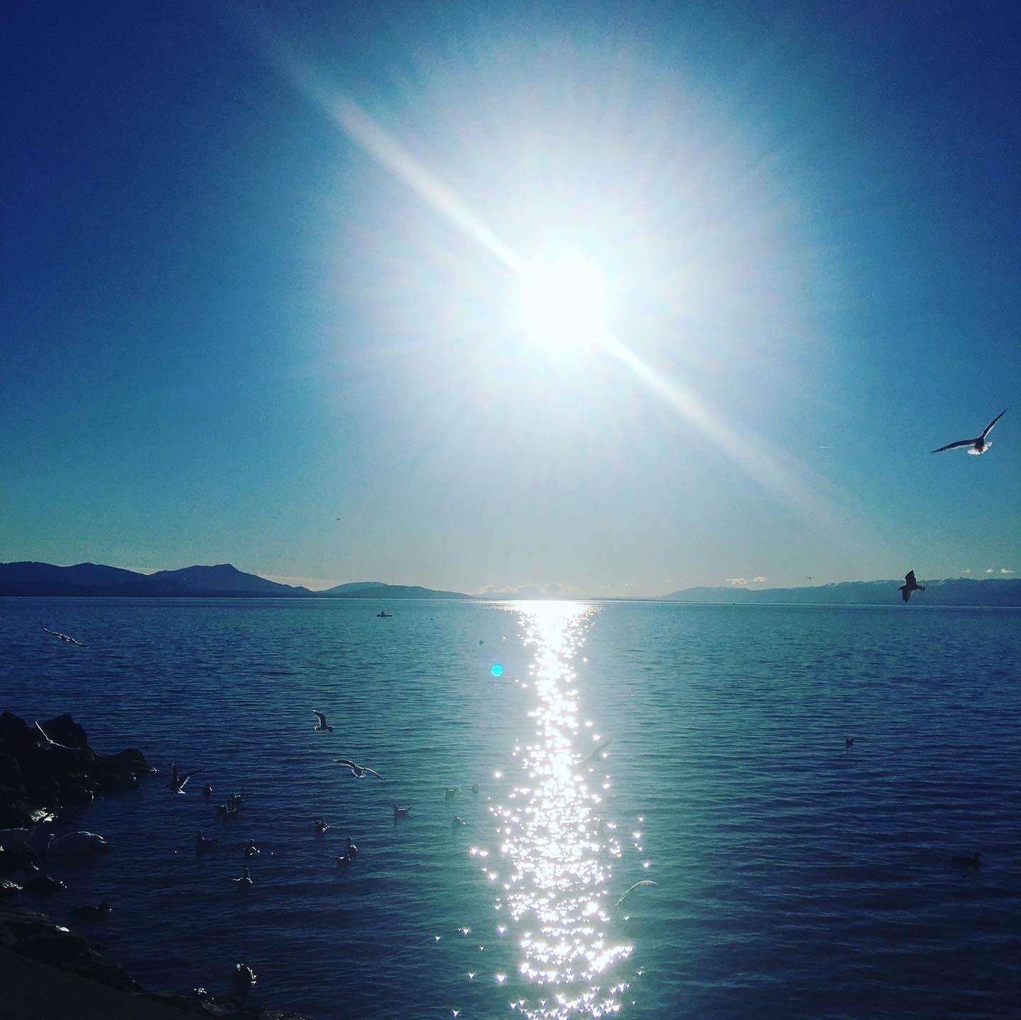 Planer et s'envoler, allégé/e de toutes les histoires rancoeurs de nos passés