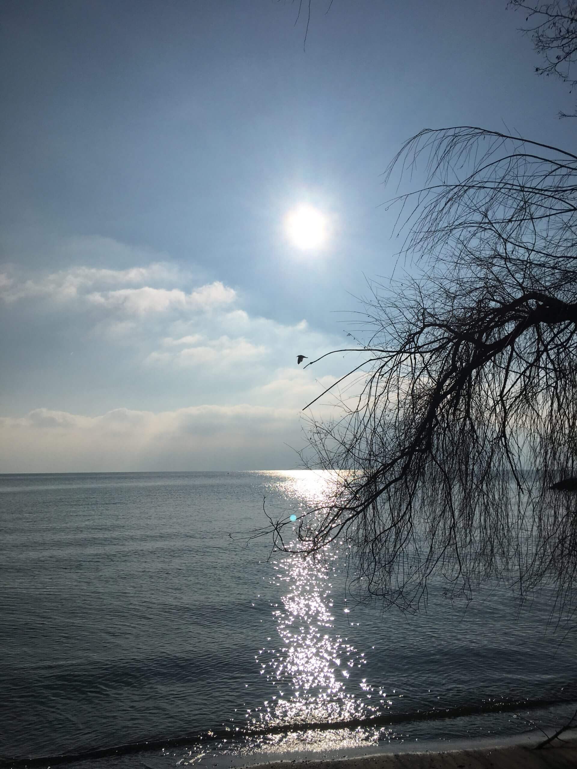 le lac vu de la région de Montreux: la beauté du paysage apaisant comme lorsque l'on dépasse ses blessures, qu'on les transcende.